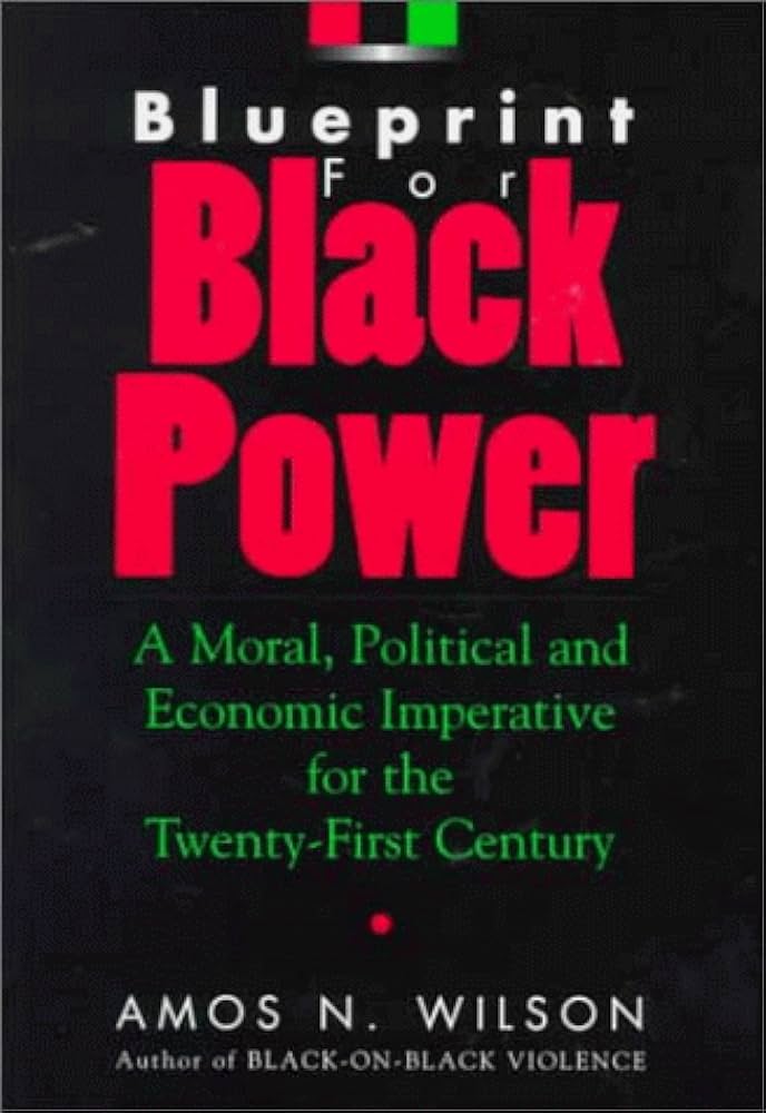 Blueprint for Black Power: A Moral, Political, and Economic Imperative for the Twenty-First Century by Amos Wilson